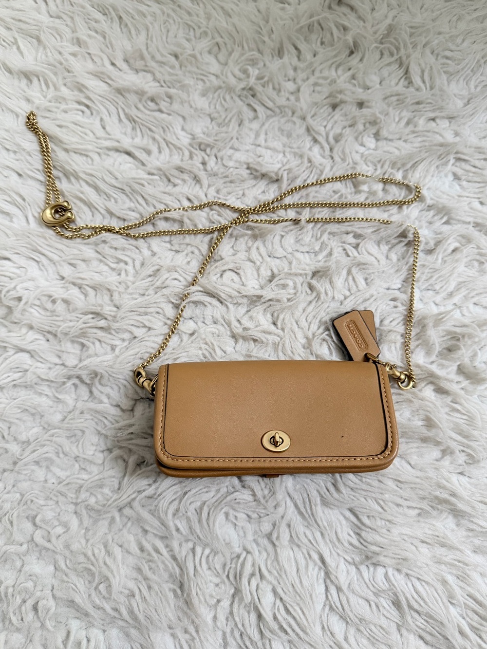 Coach Micro Dinky Bag